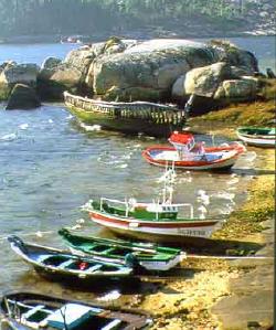 Barcos de pesca no porto